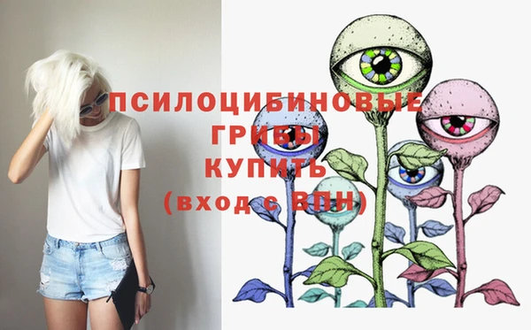 стаф Балахна