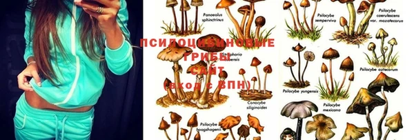 марки lsd Баксан