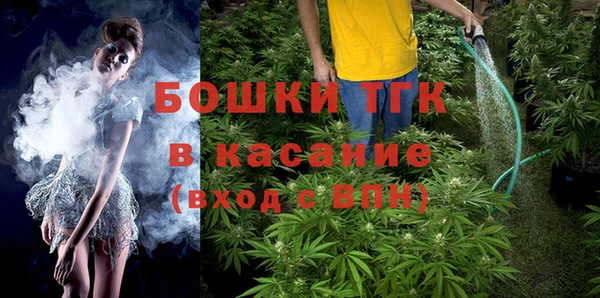 стаф Балахна