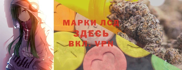 стаф Балахна