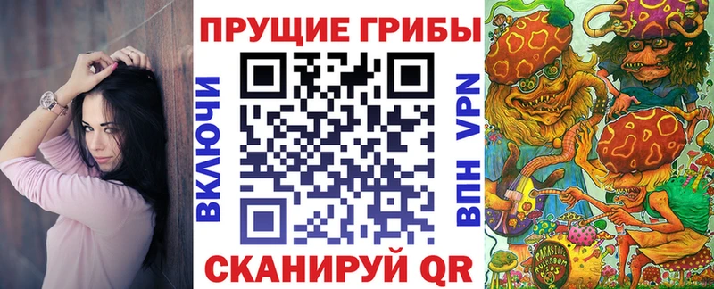 Купить где  Ноябрьск  Псилоцибиновые грибы мицелий 