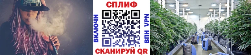 Каннабис конопля  Купить закладки  Ноябрьск 